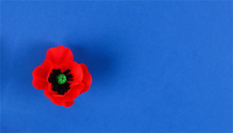 ANZAC-Day-25.png